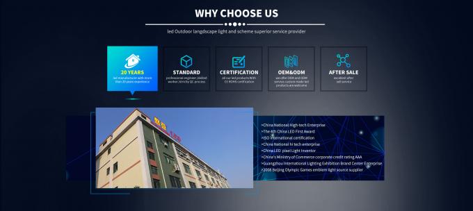 Dải ánh sáng độ sáng cao linh hoạt và cong với IP65 AC110-240v đơn 2