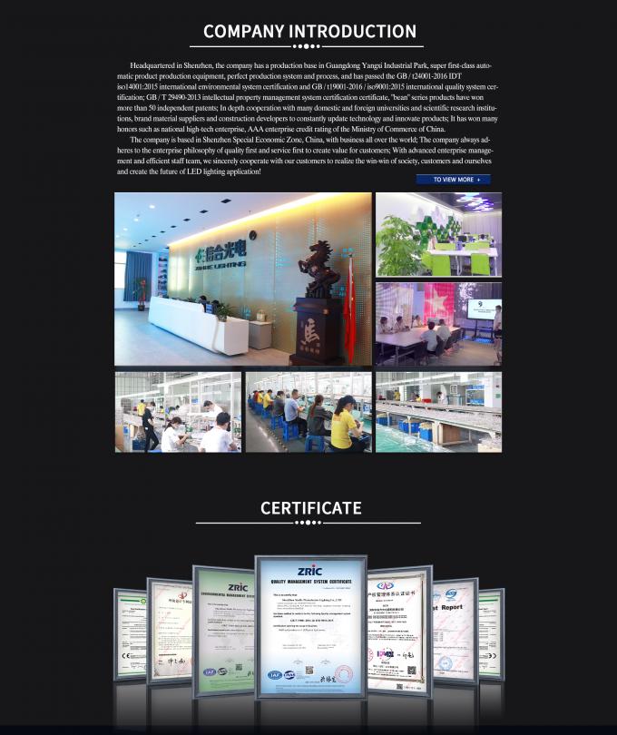 Dải ánh sáng độ sáng cao linh hoạt và cong với IP65 AC110-240v đơn 5