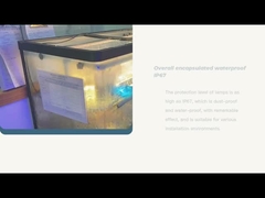 Đèn Giáng sinh Led chống nước tròn 30mm SMD2835 Epistar