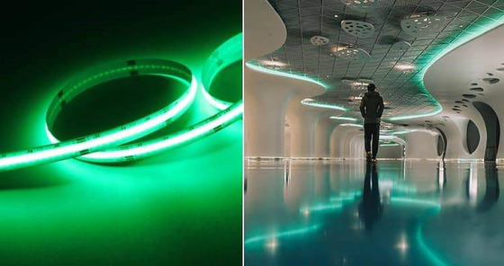 Flexible LED Neon Strip High Brightness 12V 24V Waterproof CE RoHS Certificated Lighting Shop Sign for Indoor Outdoor Decorative