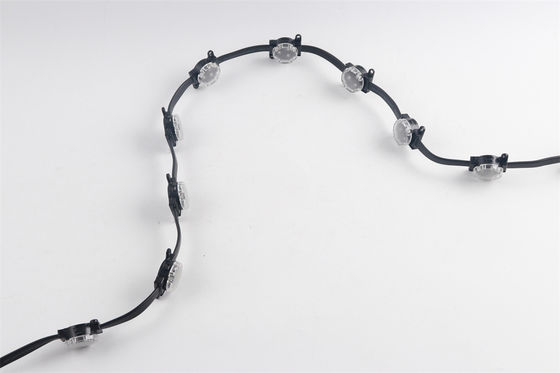 Miracle Bean 30mm RGBW LED Point Light 1W DC12V IP67 SMD3535