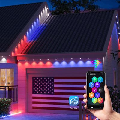 Waterproof Rgb Decorative Holiday Eaves Led Christmas Point Light For Eave Ip Rating IP67