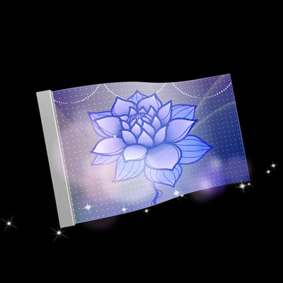 RGB Colorful LED Transparent Film Screen Indoor Flexible LED Display Screen