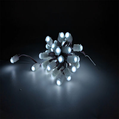 Single Color LED Pixel Light DC12V 9MM 0.2W Advertising Signage Board light LED manufactur