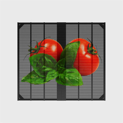 Energy-Efficient P2.6-6.25 Transparent LED Mesh Screen for Building Facades Led screen