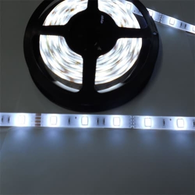 Customize Led Strip 12V 24V SMD 2835 60leds/m 5m/roll LED Strip Light Single Color Indoor Decoration Strip for Night Lighting