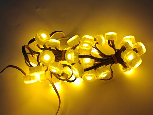 Wholesale Custom Good Quality 20mm DC12V Outdoor Waterproof IP67 PC Material Led Point Light