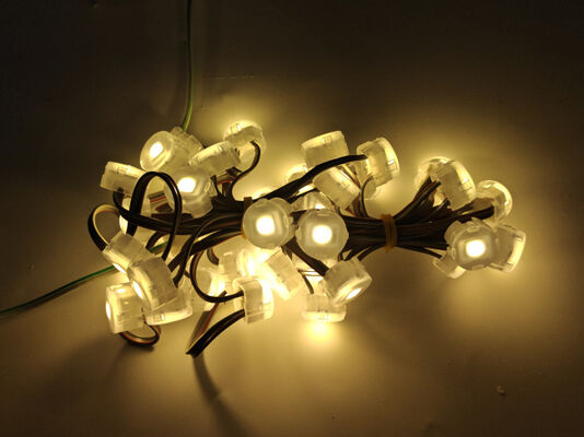 23mm 12V SMD5050 IP67 Waterproof LED Point Light with 120° Beam Angle and PC Material