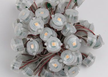 Ánh sáng ngoài trời DC12V 20mm SMD 5050 IP67 Đèn Giáng sinh Led Pixel 2000mcd