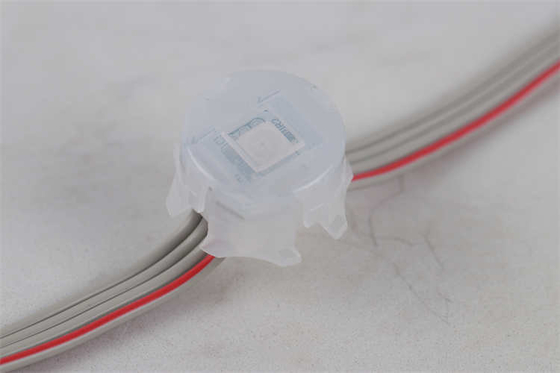 Đèn chiếu sáng kỳ nghỉ vĩnh viễn 20MM 5050 Rgb Rgbw 1903 2904 Dmx512 IC Led Pixel Point Light