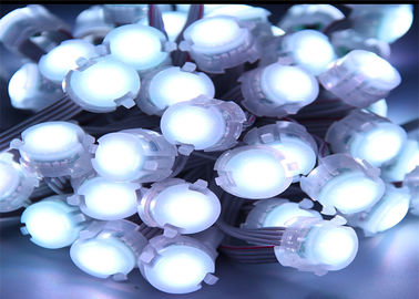 Thiết kế 1 Chip 5050 0.25w Đèn LED Đèn Trắng Đen Đơn Màu 20mm Pixel LED