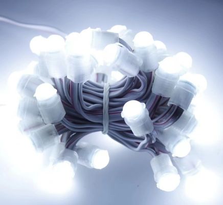 đèn LED màu trắng ngoài trời chống nước 50 LED DC 12V 9mm Led Pixel String Light