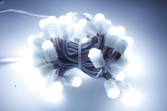 DC12V 0.2W Waterproof IP67 Single Color 9mm LED Exposed Light String For Outdoor Lights