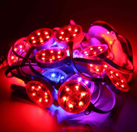 Ngoài trời 40mm 50mm SMD3535 DMX kỹ thuật số RGB Led Pixel IP67 Chống thấm nước