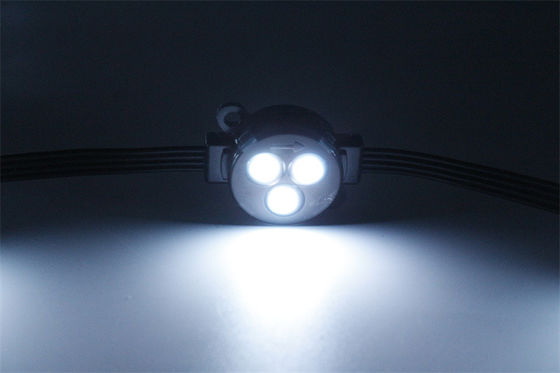 Đèn điểm LED 12V không thấm nước