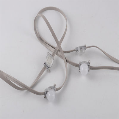 Sản phẩm bán buôn 24V SMD3535 IP67 đơn và RGB thay đổi màu sắc có thể lập trình đèn LED Pixel Chain Light với bộ điều khiển
