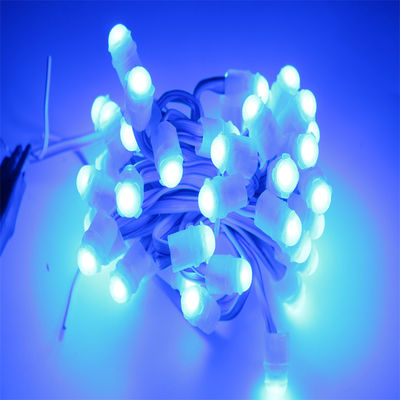Giá tốt IP67 chống nước LED Pixel Light DC12V 0.2 W với góc nhìn 160 ° và tuổi thọ 30 000 giờ
