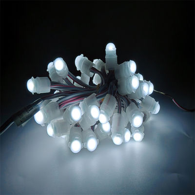 Giá tốt IP67 chống nước đèn LED Pixel Light DC12V 0.2W với 30000 giờ tuổi thọ trang trí ngoài trời thay đổi