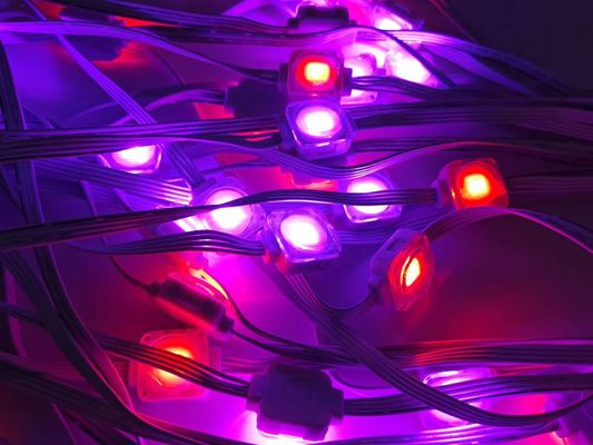 Hot Sale Christmas Holiday Decoration Ip67 Waterproof Rgbic Led Permanent Outdoor String Point Eaves Light