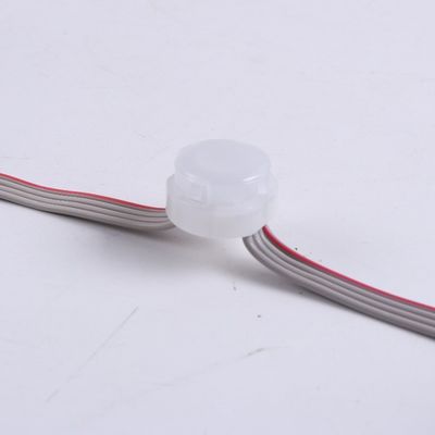 Đèn LED Giáng sinh IP67 RGBW Đèn ngoại thất LED Đèn Giáng sinh vĩnh viễn