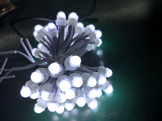 Đèn điểm PVC 9 cm Nguồn LED màu sắc và điều khiển SPI cho các ứng dụng cảnh quan
