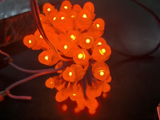 Acrylic LED Backlight RGBIC DC5V Đèn Giáng sinh cá sứa cho trang trí ngoài trời