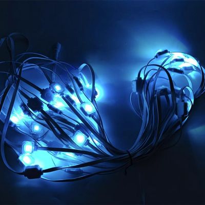 Permanent IP67 1W 20mm LED Eave Lights Environmental Friendly Decorative Lighting