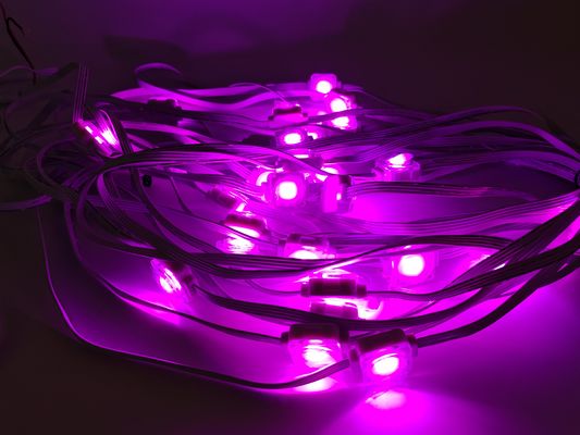 Durable PC Shell Glue Led Point Pixel Light for 15m 30m 60m 120m Outdoor Waterproof Lighting