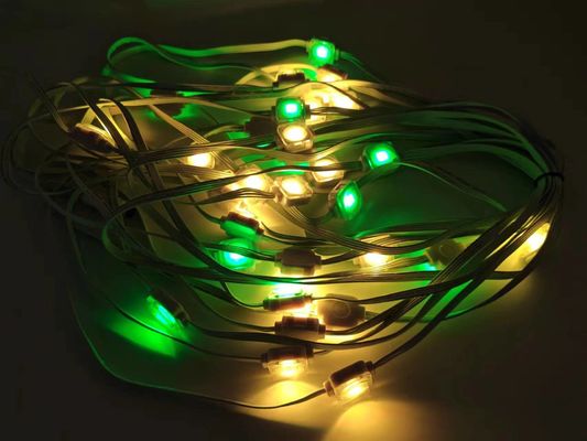 24V Waterproof Rgbw Light LED String Point Eaves Light for Christmas Holiday Decoration CE Certified