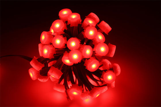 Đèn LED Pixel RGB Kỹ thuật số 20mm DC 12V cho Trung tâm thương mại, Chuỗi Pixel LED