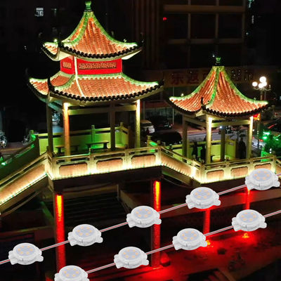 Đèn pin LED vĩnh viễn RGB 30mm 24V cho trang trí kỳ nghỉ ngoài trời IP67