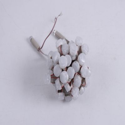 0.3W RGB Point Light Source for Christmas Decoration 50mm LED Pixel Modules