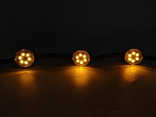 24V Smart RGB LED Pixel Light Giáng sinh Giáng sinh ngoài trời Giáng sinh đèn P67 PC Cơ thể Giáng sinh vĩnh viễn