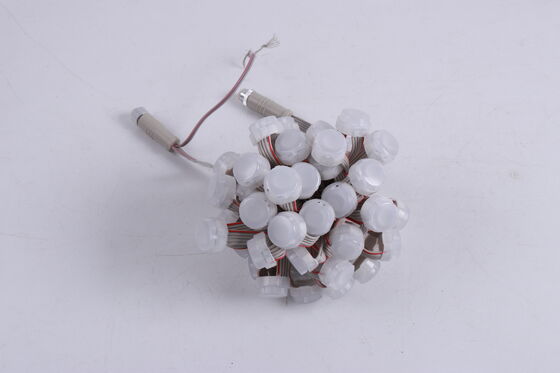 Đèn LED Chấm Chìm Nước 20mm DC12V Ip67 Ánh Sáng Cao Đèn Trang Trí Ngoài Trời Vườn Và Tòa Nhà