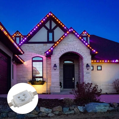 DC48V 40mm RGB Full Color LED Point Light IP67 chống nước cho trang trí tường ngoài trời