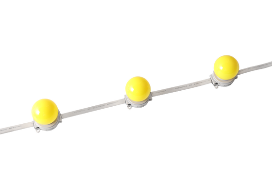 40mm IP67 chống nước DC 24V LED Globe Light cho Ánh sáng kiến trúc ngoài trời