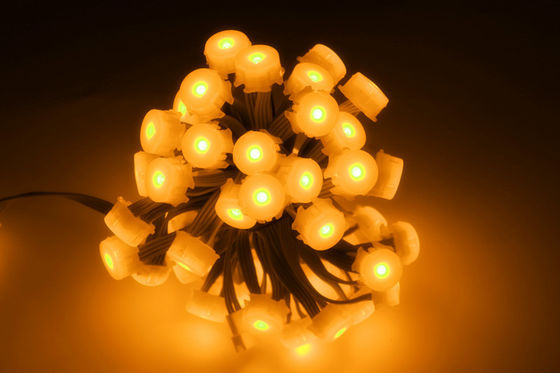 Điểm ảnh LED chống nước đủ màu 0,3W 5V IP65 20MM