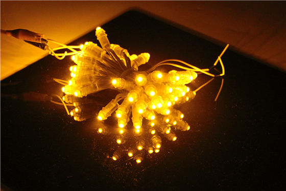 Đèn LED dây Pixel Miracle Bean EPISTAR IP67 12V 0,15W 9mm