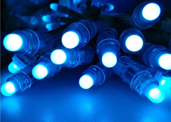 Miracle Bean 12mm Rgb Địa chỉ WS2811 1903 Giáng sinh Đủ màu RGB F8 12mm 5V 12V LED Pixel Ánh sáng từ nhà máy