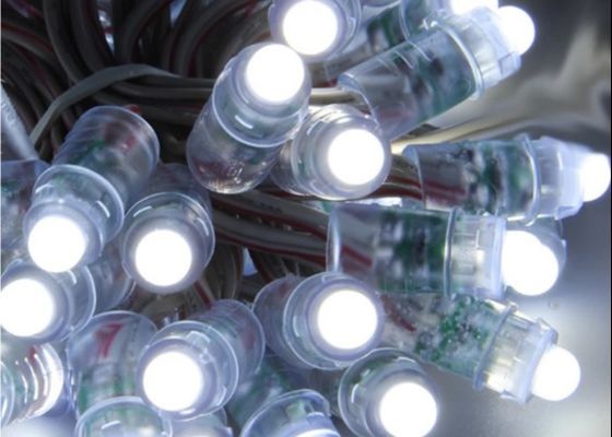 Công viên giải trí 12V 5V Led Pixel Light 0,3W RGB WS2811 1903 Điểm ảnh kỹ thuật số cho Giáng sinh