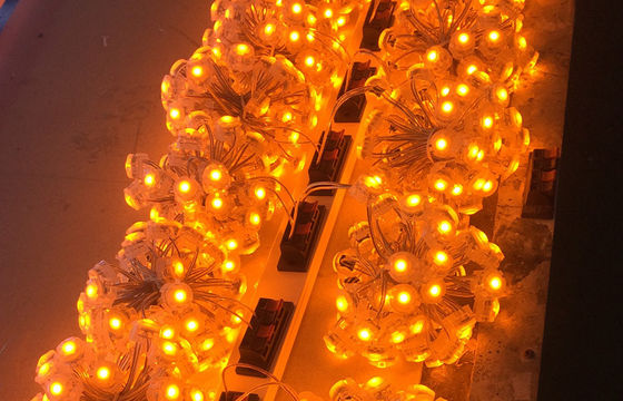 Big LED Channel Letter 20mm Pixel Light SMD 5050 IP67 For Outdoor